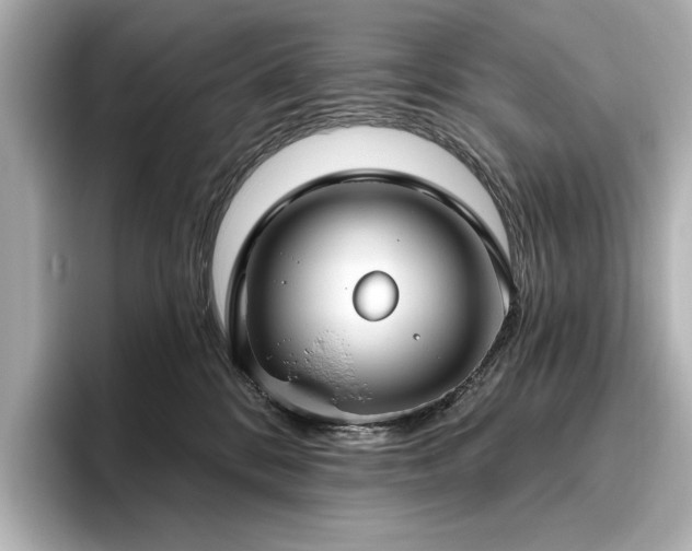 X0000096490328200801241510