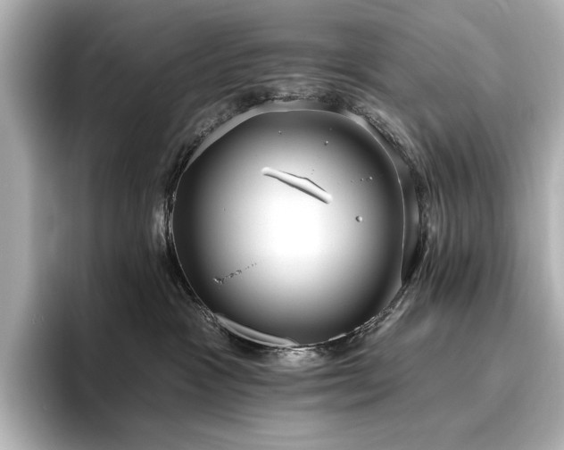 X0000096490333200801241510