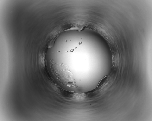 X0000096490334200801241510