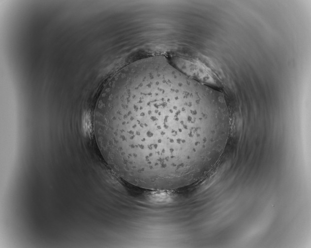 X0000096490335200801241510