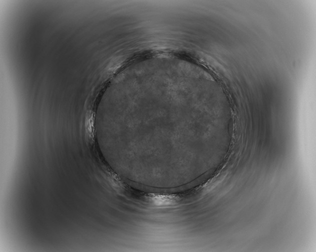 X0000096490336200801241510