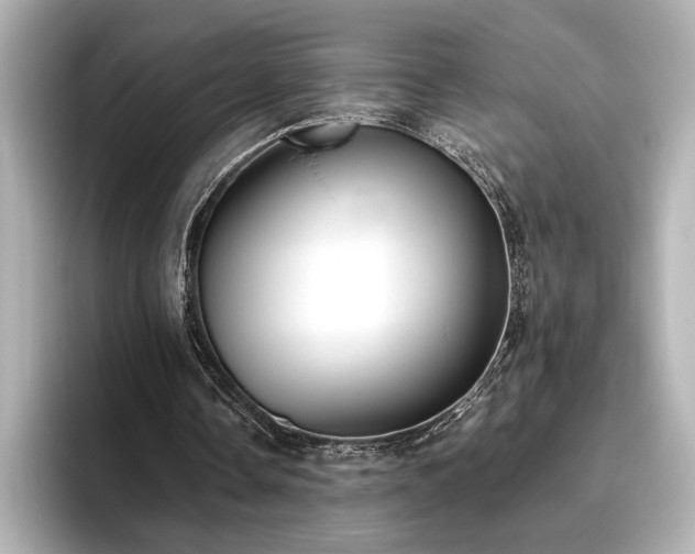 X0000096490338200801241509