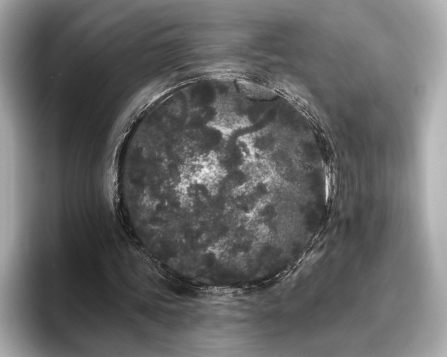 X0000096490339200801241509