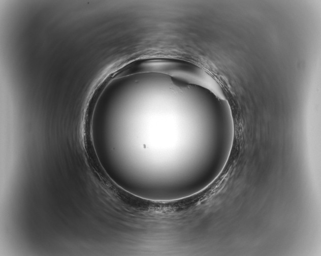 X0000096490340200801241509