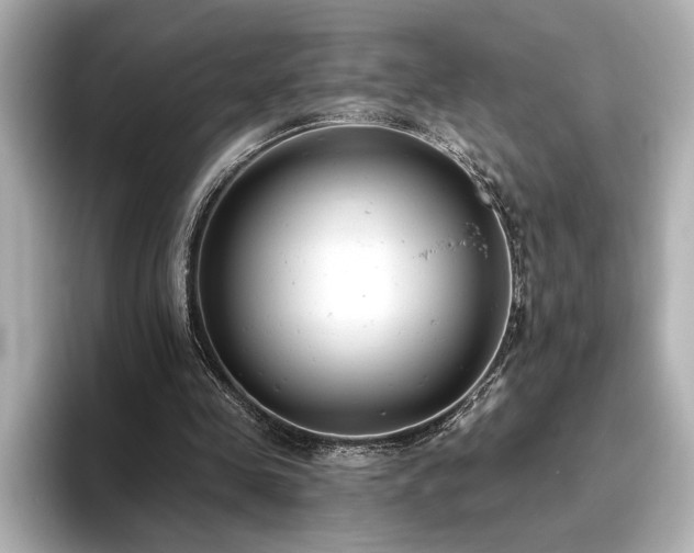 X0000096490341200801241509