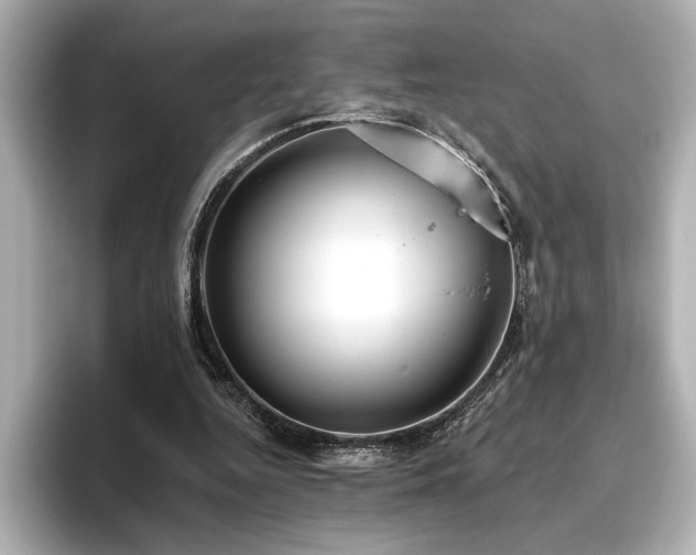 X0000096490344200801241509