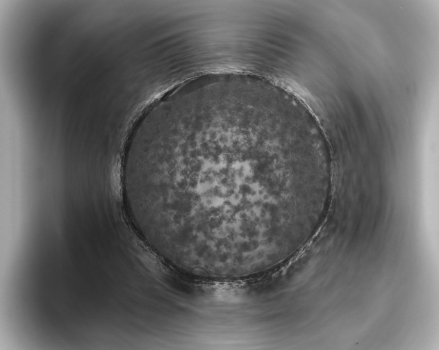 X0000096490345200801241509