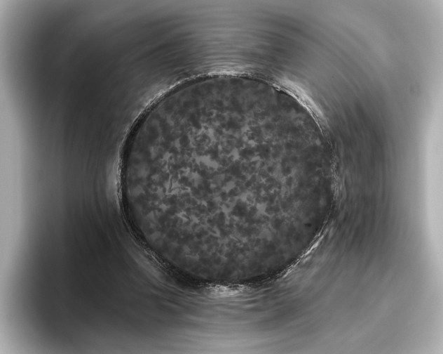 X0000096490346200801241509