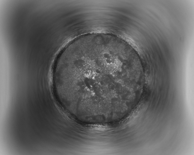 X0000096490347200801241509