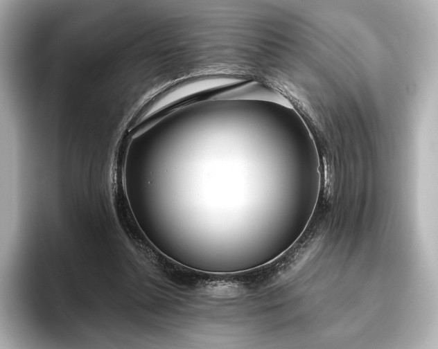 X0000096490348200801241509