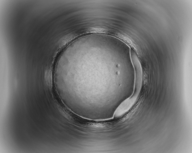 X0000096490349200801241509