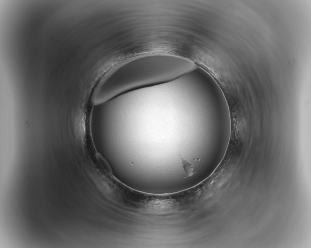 X0000096490350200801241509