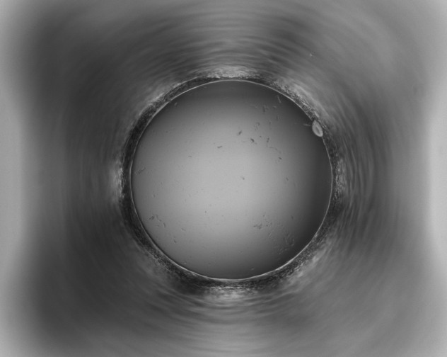 X0000096490351200801241509