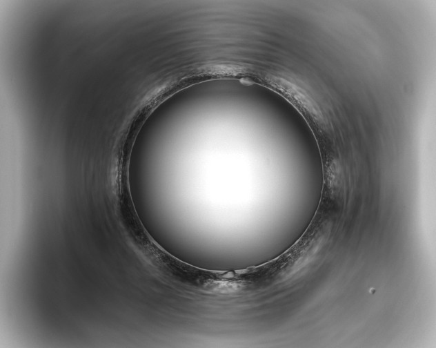 X0000096490352200801241509