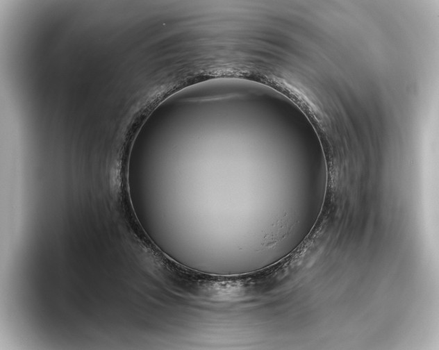 X0000096490353200801241509