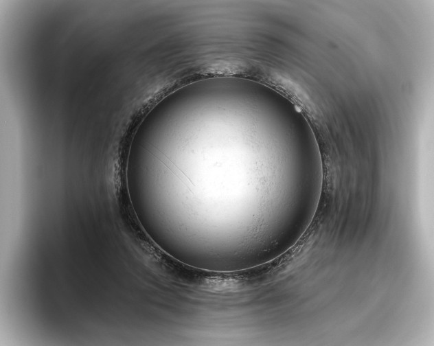 X0000096490354200801241509