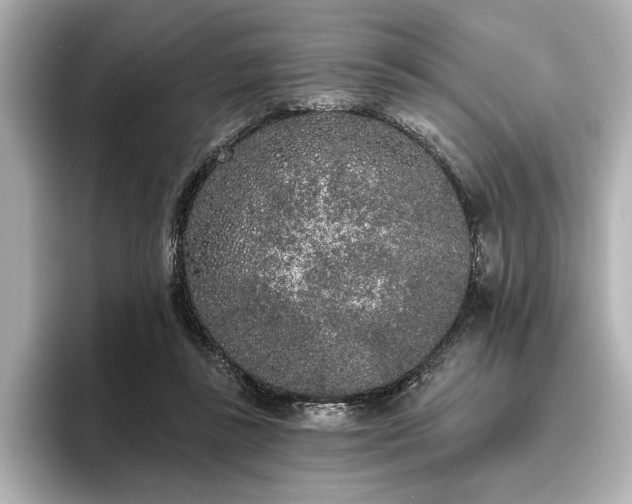 X0000096490355200801241509