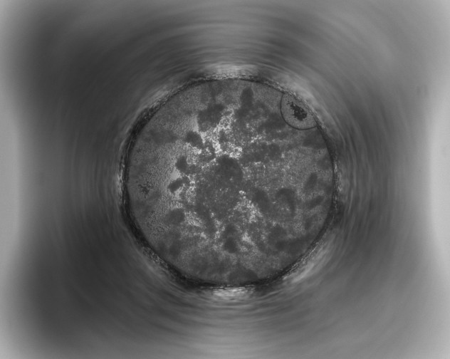 X0000096490357200801241509