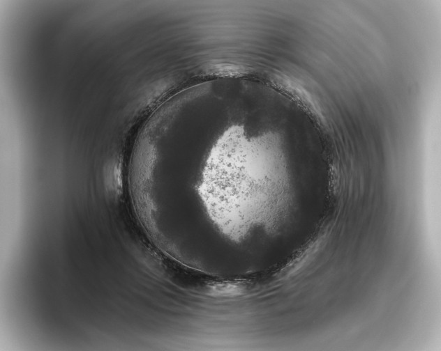 X0000096490358200801241509