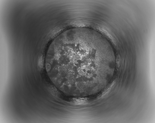 X0000096490359200801241509