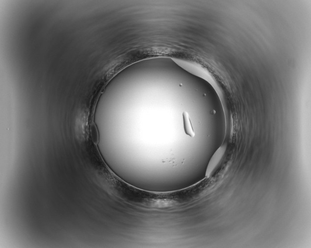 X0000096490360200801241510