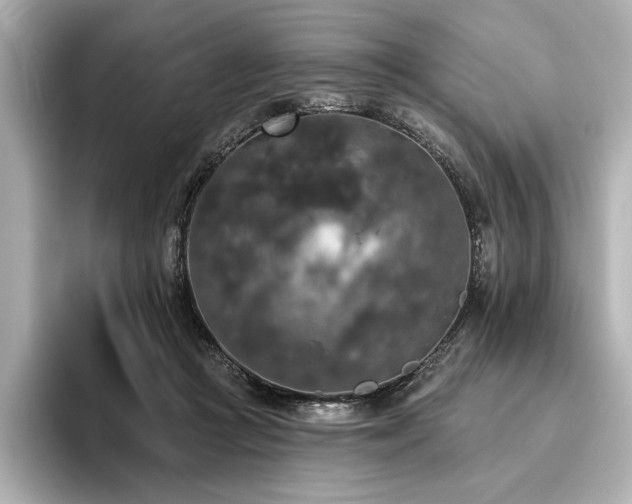 X0000096490361200801241510