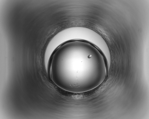 X0000096490362200801241510