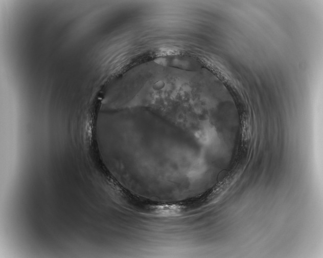 X0000096490363200801241510