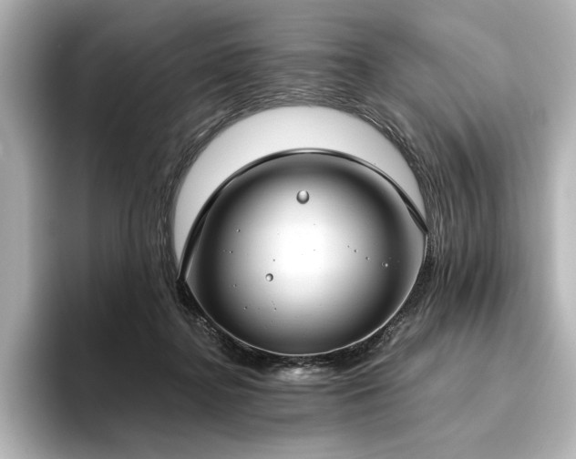 X0000096490364200801241510