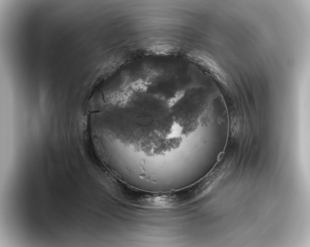 X0000096490365200801241510