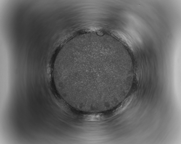 X0000096490366200801241510