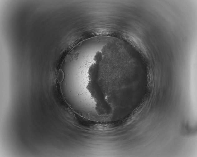 X0000096490367200801241510