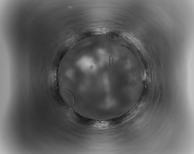 X0000096490369200801241510