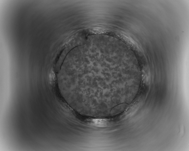 X0000096490371200801241510