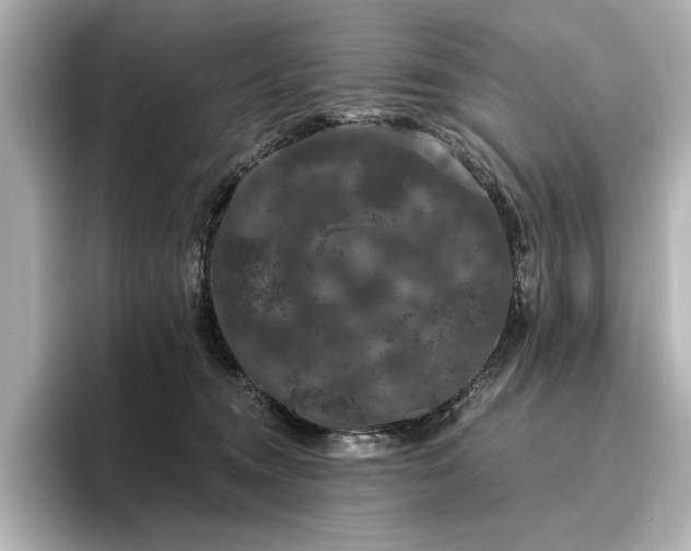 X0000096490372200801241510