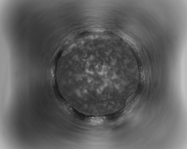 X0000096490373200801241510