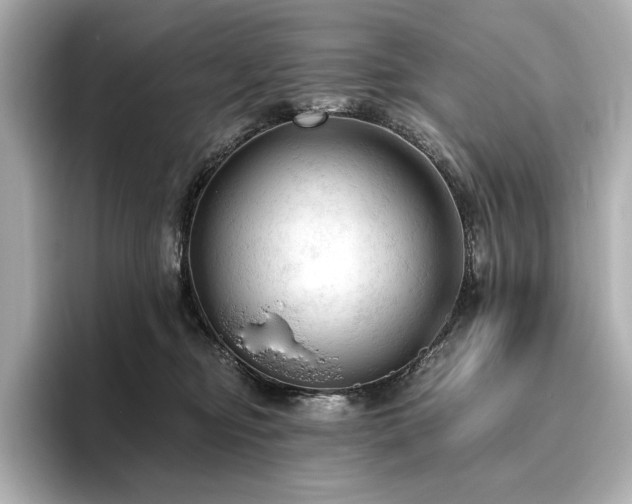 X0000096490374200801241510