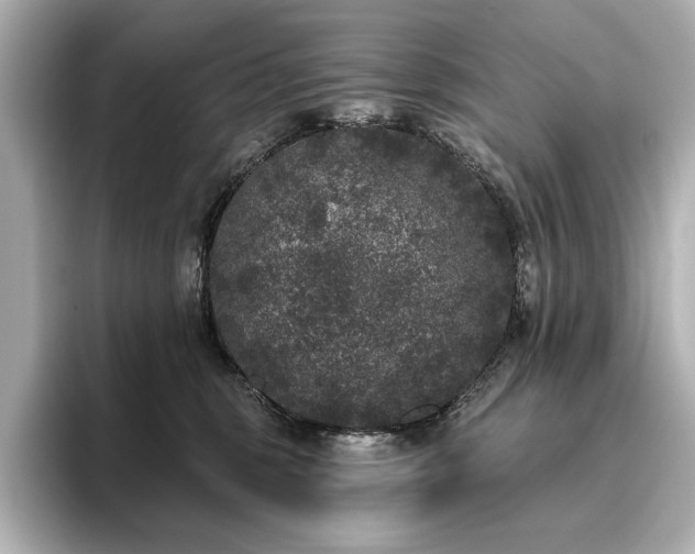 X0000096490375200801241510