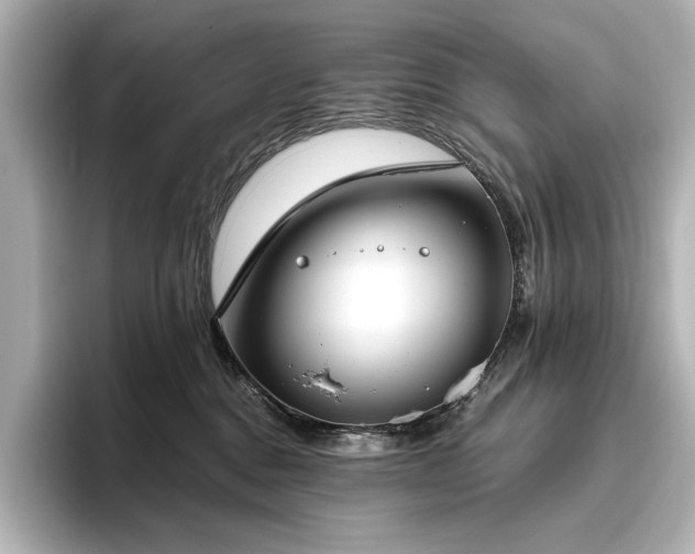 X0000096490376200801241510