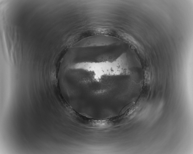 X0000096490377200801241510