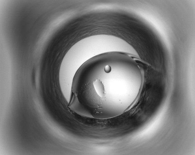 X0000096490382200801241510