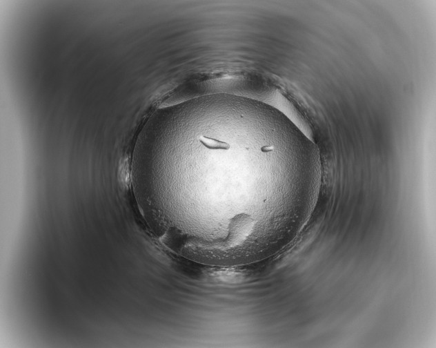 X0000096490383200801241510