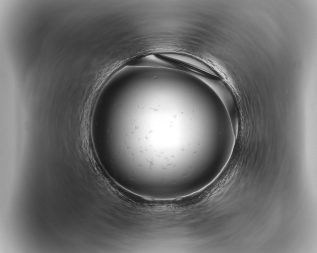 X0000096490385200801241509