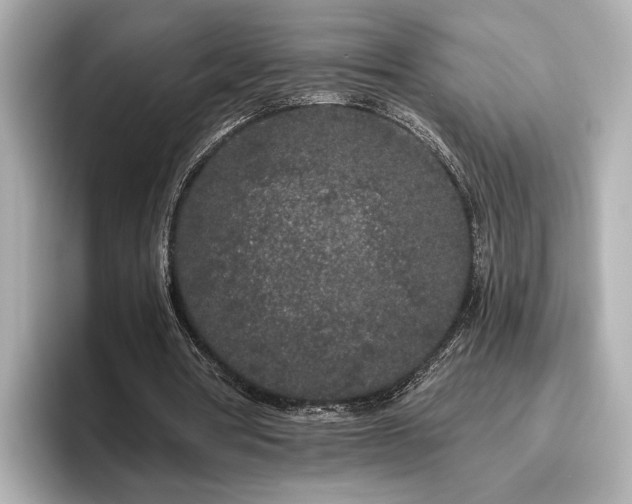 X0000096490386200801241509