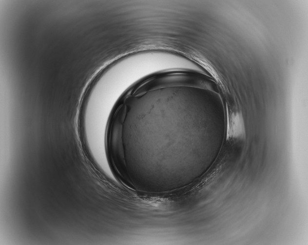 X0000096490387200801241509