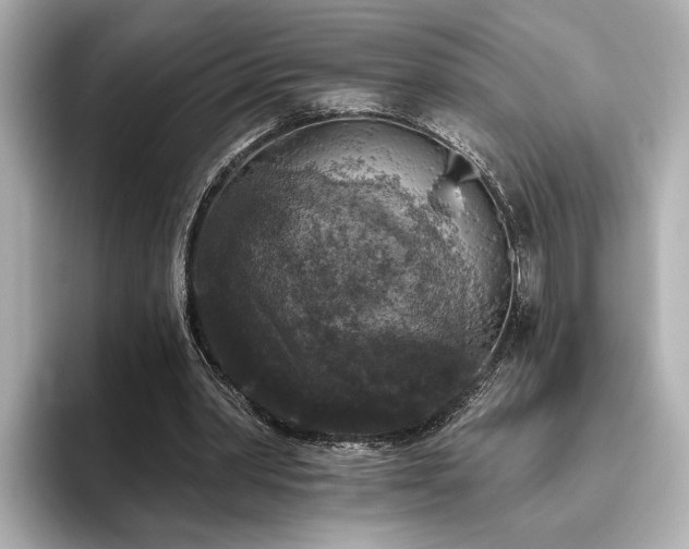 X0000096490390200801241509