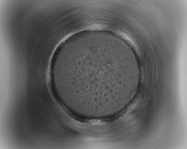 X0000096490392200801241509