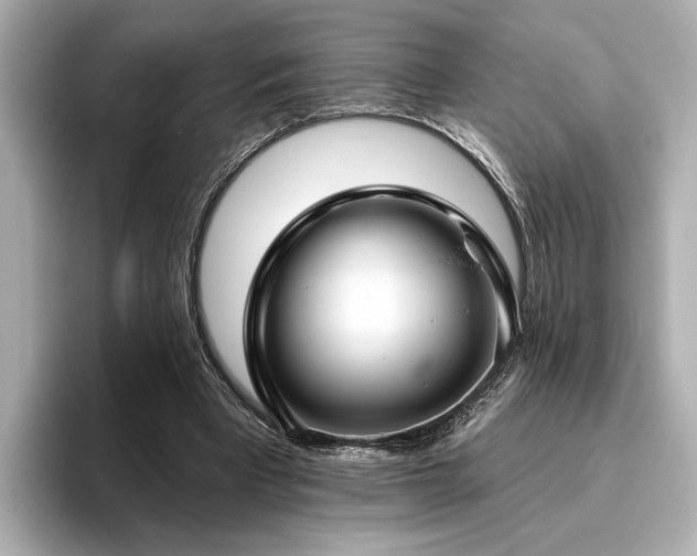 X0000096490393200801241509