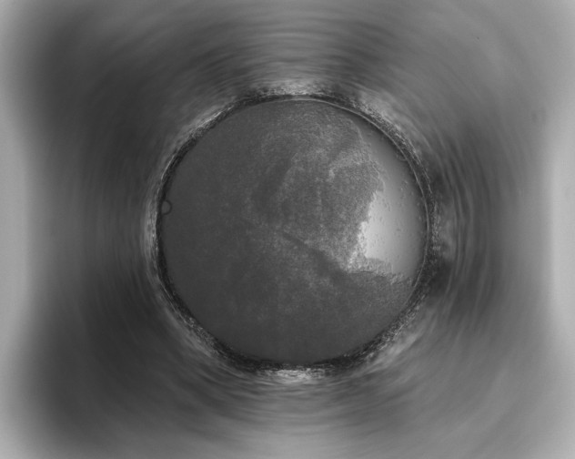 X0000096490394200801241509