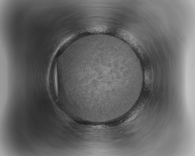 X0000096490396200801241509